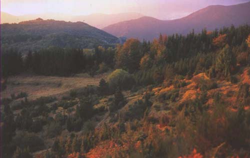 Panorama
